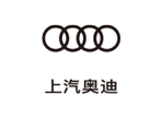抖圈(中国)为du而生奥迪